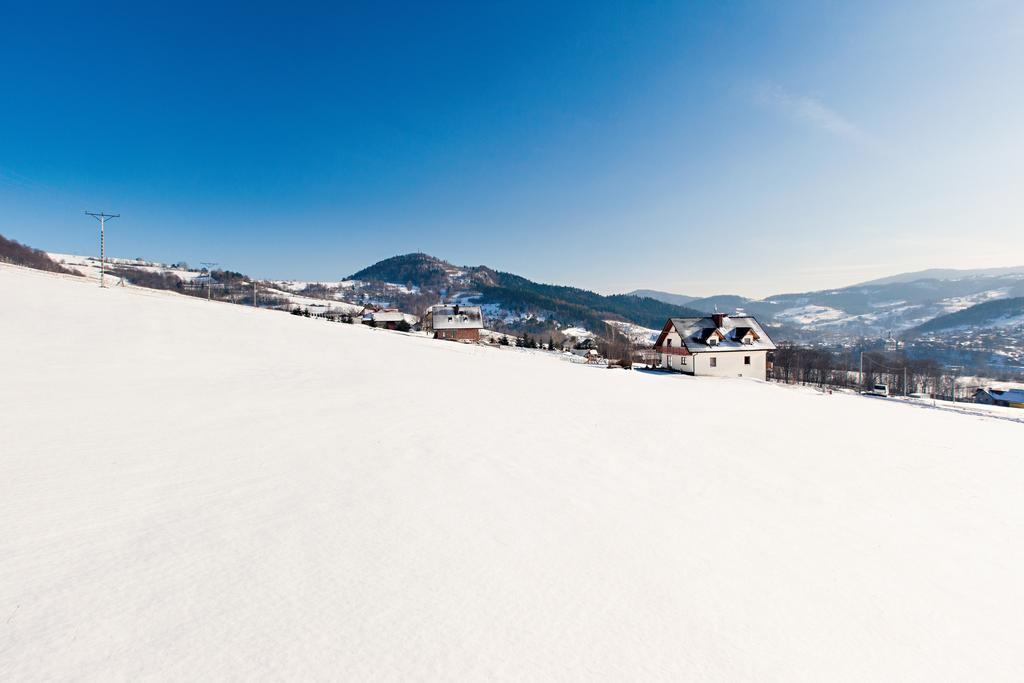 Villa Apia Piwniczna-Zdroj Экстерьер фото