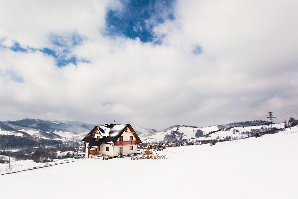 Villa Apia Piwniczna-Zdroj Экстерьер фото